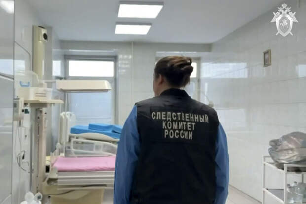 Педиатр Аракелян: младенцы в Новокузнецке погибли из-за инфекций