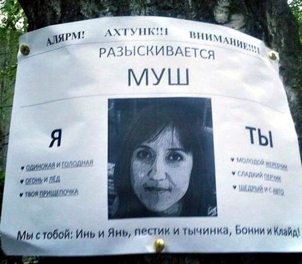 17 прикольных объявлений, авторы которых ищут вторую половинку