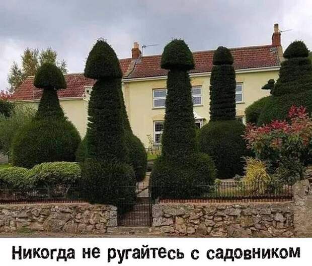 Хохмочки и забавное в картинках Хохмочки и забавное в картинках