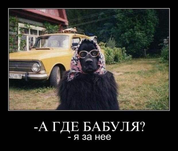 Немного новых демотиваторов