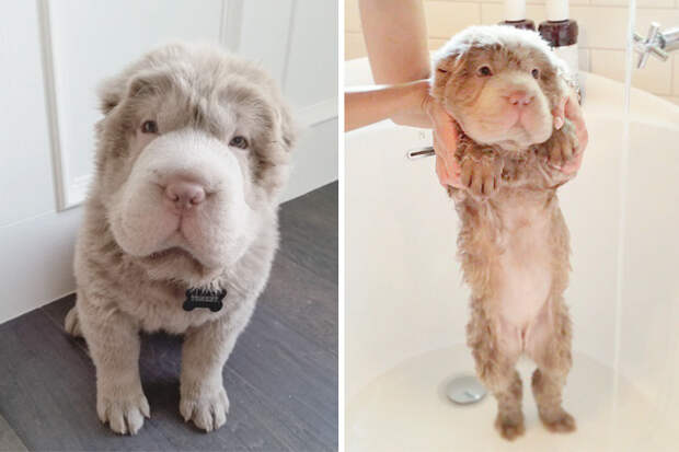 Before Vs. After Bath