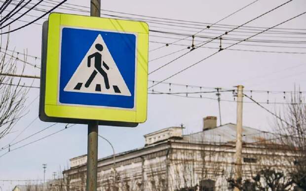 Рязанская Госавтоинспекция 21 января проводит акцию "Пешеход"