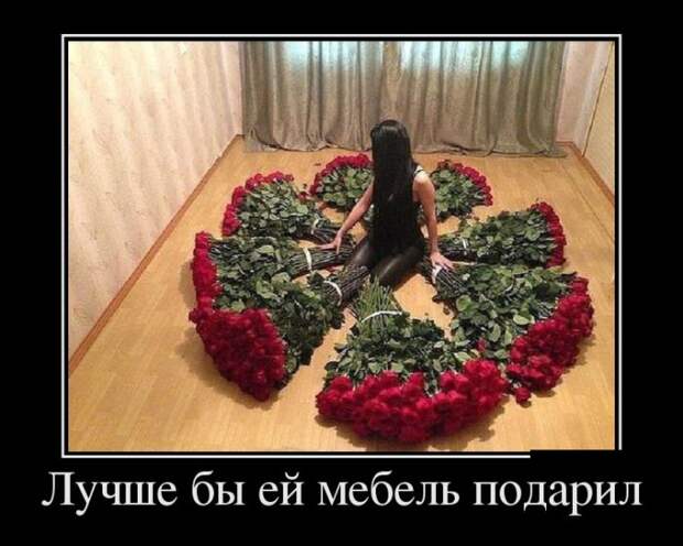 Демотиваторы (30 фото)
