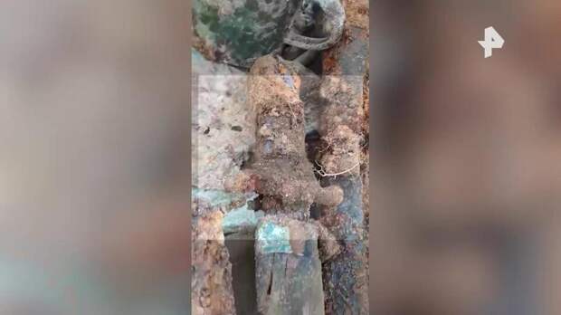 Останки 30 воинов ВОВ обнаружили в Ленобласти