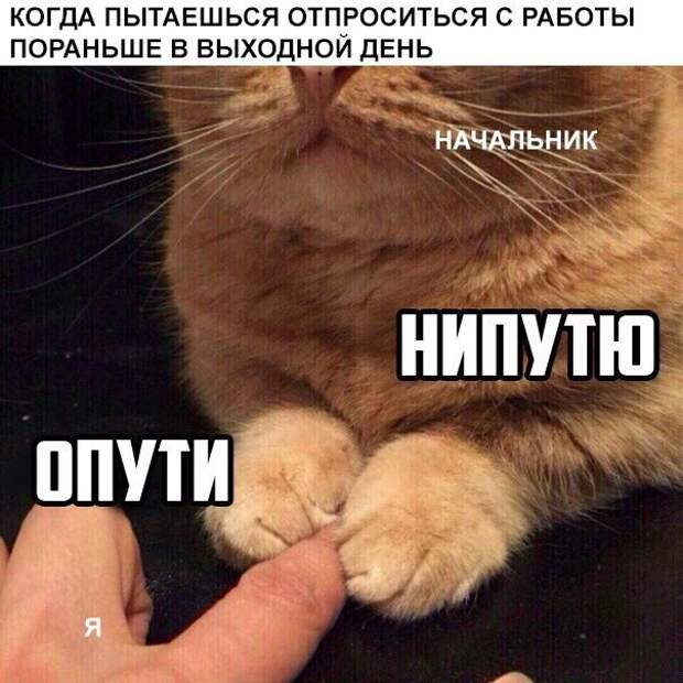 Смешные комментарии и высказывания из социальных сетей высказывания, комментарии, прикол
