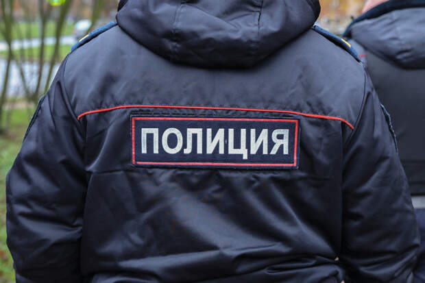 Управляющий пунктом выдачи в Петербурге подозревается в подмене 11 «Айфонов» на подделки