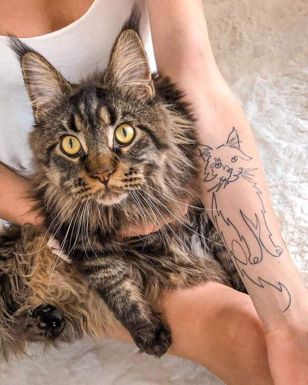 Разные крутые татуировки с котиками