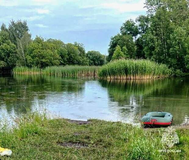 В Тульской области 4 июля утонул ребенок