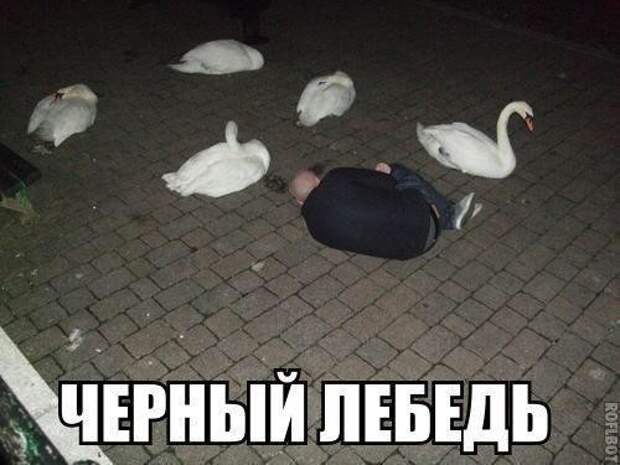 Подборка новых смешных фотографии приколы, юмор