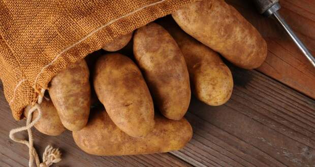Рецепты запеченной картошки с фаршем в духовке. Сколько готовится картошка с фаршем в духовке?