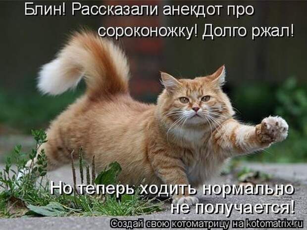 Мысли вслух :)