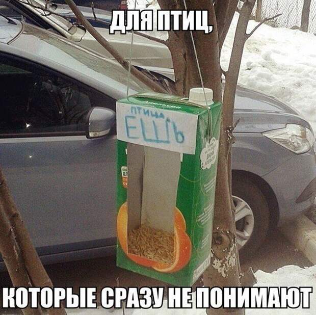 00XVB6XEA9QYH (604x603, 96Kb)