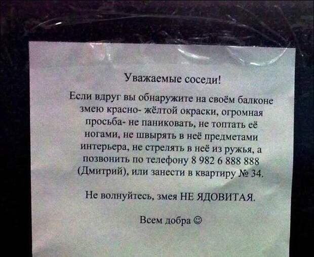 Источник Яндекс картинки.