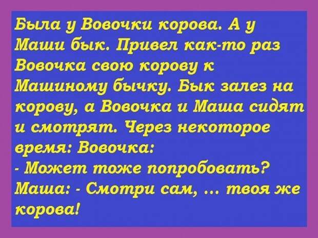 Две cтарyшки на лавочке — Что рyccкого мyжика гyбит? Бабы, водка, поножовщина...