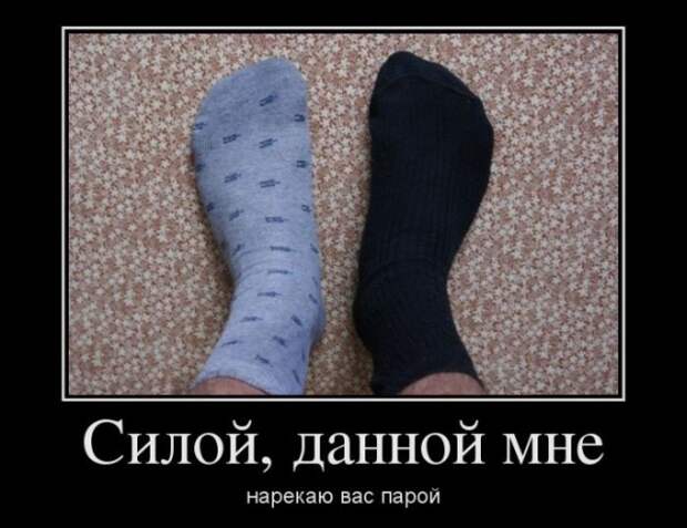 www.vsyako.net