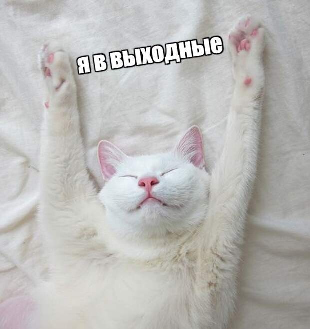 Мемчики на вечер.