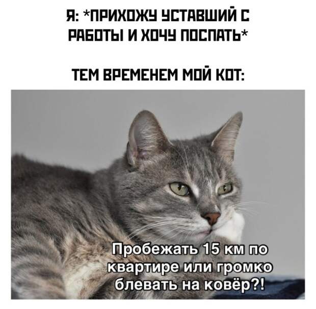 Смешные картинки 26 мая 2021 года