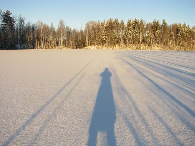 Отпуск в лесу