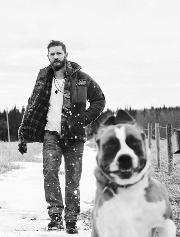 https://sobakibalabaki.com/wp-content/uploads/2017/09/love-for-dogs-tom-hardy-59bf757e28037__700.jpg