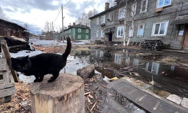 21 апреля в Архангельской области будет +3,+8°С, возможен дождь и мокрый снег