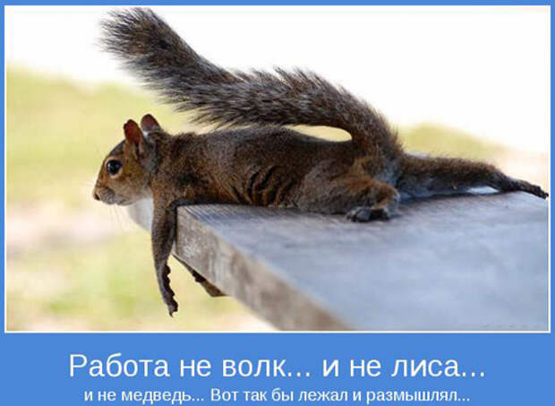 Смешные мотиваторы про работу