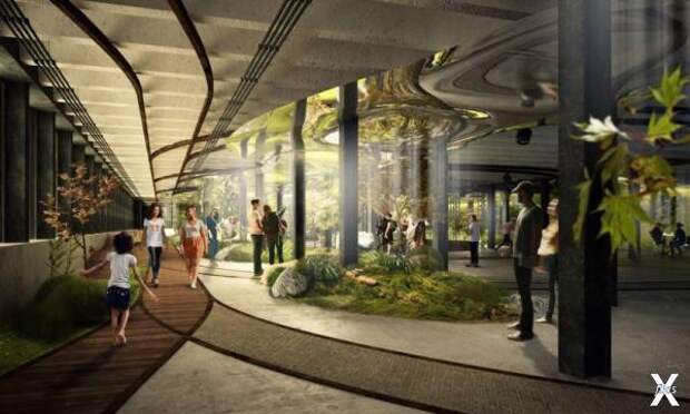 Проект подземного парка Lowline в Нью...