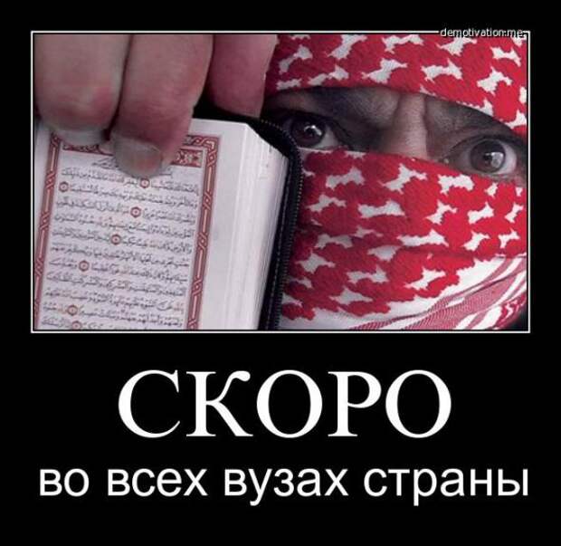 Немного новых демотиваторов