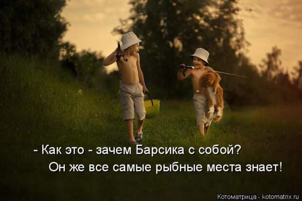 Лучшие котоматрицы недели (50 фото)