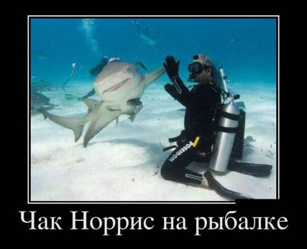Демотиваторы (30 фото)