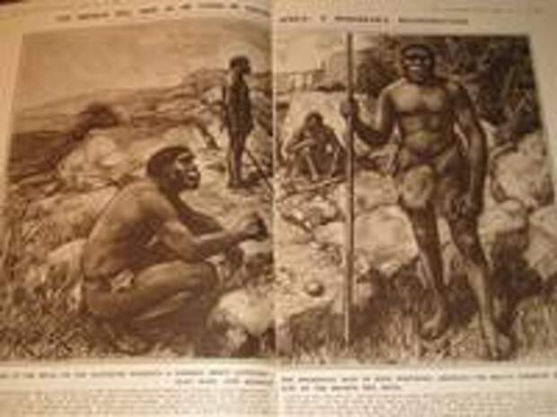 Разворот The Illustrated London News от 19 ноября 1921 г с реконструкцией родезийских людей, выполненной Амеди Форести Разворот The Illustrated London News от 19 ноября 1921 г с реконструкцией родезийских людей, выполненной Амеди Форести