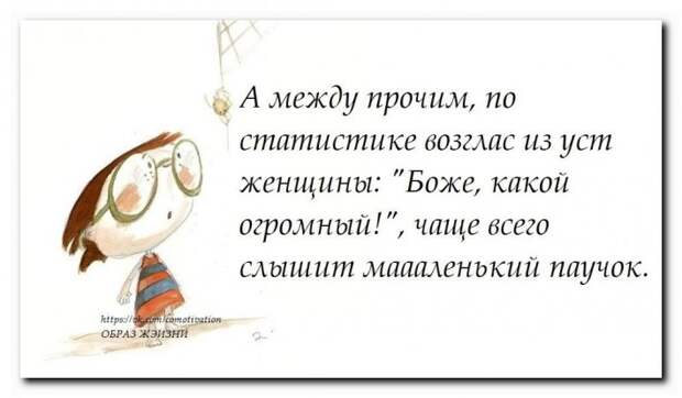 Прикольные фразочки в картинках (29 фразочек)