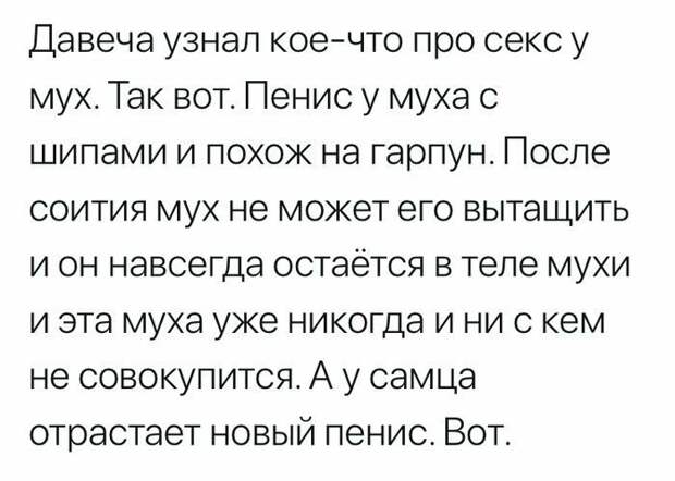 Высказывания и наблюдения для вашего настроения Высказывания и наблюдения для вашего настроения