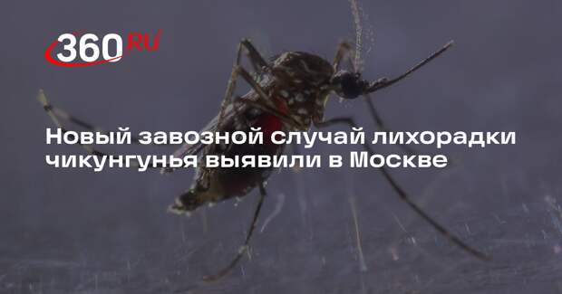 Новый завозной случай лихорадки чикунгунья выявили в Москве