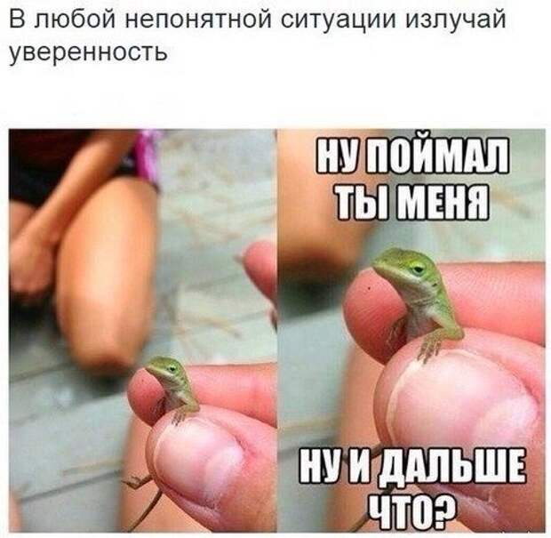 Новогодние фотомемы (32 шт)