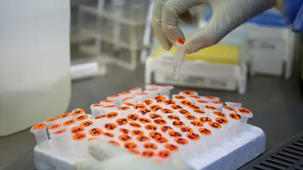 В ВОЗ назвали основную причину смертности в трудоспособном возрасте