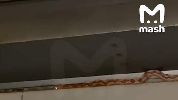 Кадр из видео