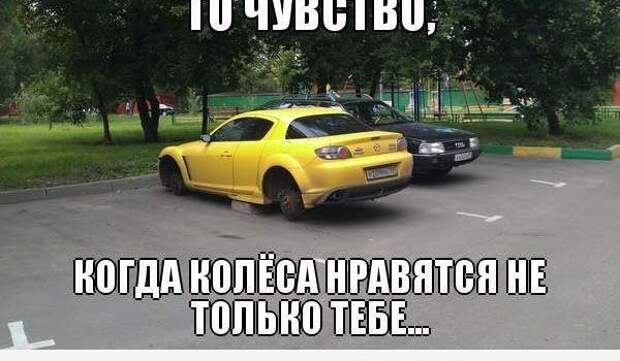 авто, автоприколы, приколы