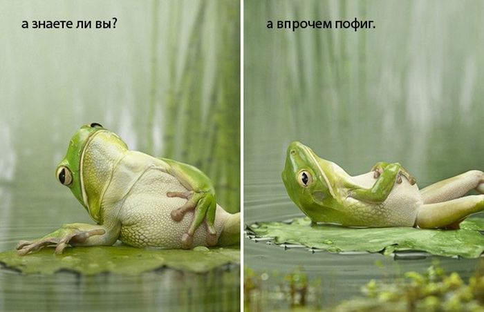 Когда очень лень (27 фото)