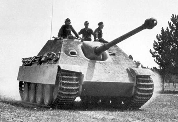 Хищная кошка Вермахта Хищная кошка Вермахта война, история, факты