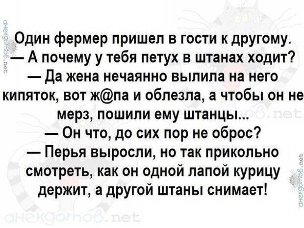 Анекдоты - лучшее от "анекдотовнет" Анекдоты - лучшее от "анекдотовнет"