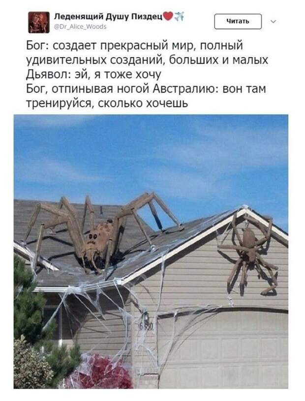kartinok-prikolnyx-podborka-kartinki-smeshnye-kartinki-fotoprikoly