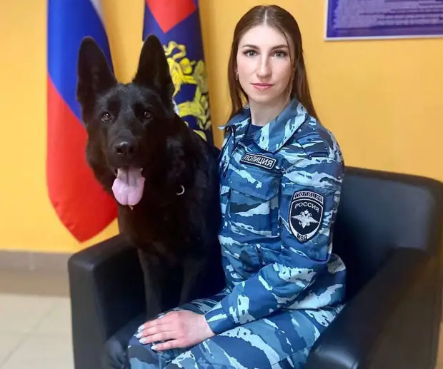 ГУ МВД по СПб и Ленобласти