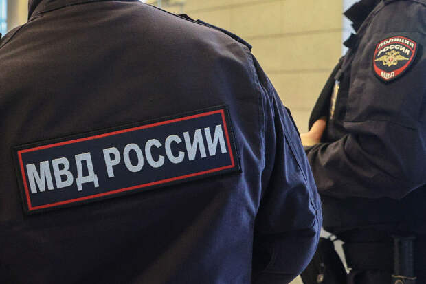 Московские полицейские задержали судимого мужчину за оскорбления пенсионерок