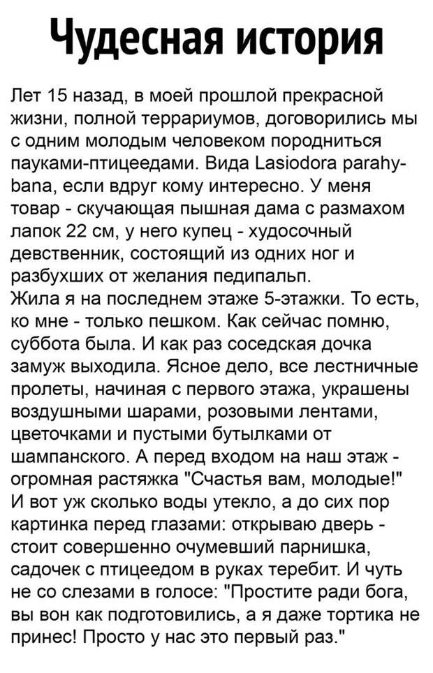 Комментарии и картинки из соцсетей
