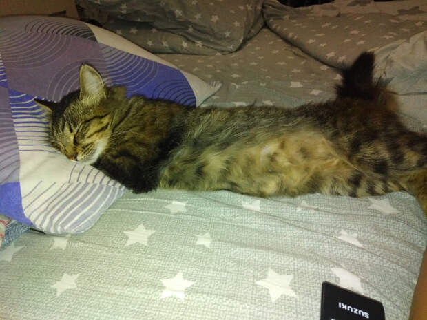 61nNZHzSQh8 (700x525, 353Kb)