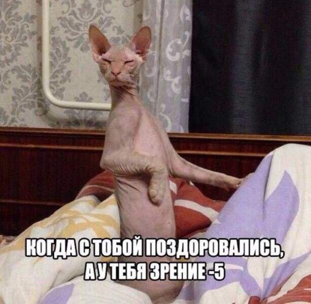 Новогодние фотомемы (32 шт)