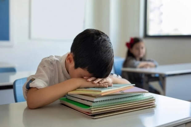 Среди причин, по которым ребёнок не любит школу, могут быть как конфликты с учителями и одноклассниками, так и родительский настрой.