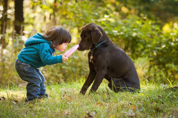 Собака для ребёнка: когда и какую собаку лучше заводить
