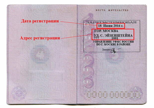 Фото из сети