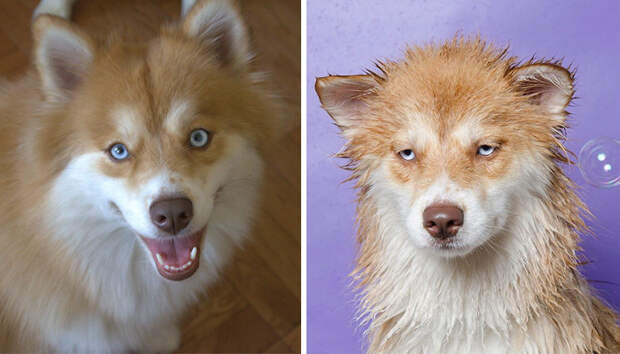 Before Vs. After Bath
